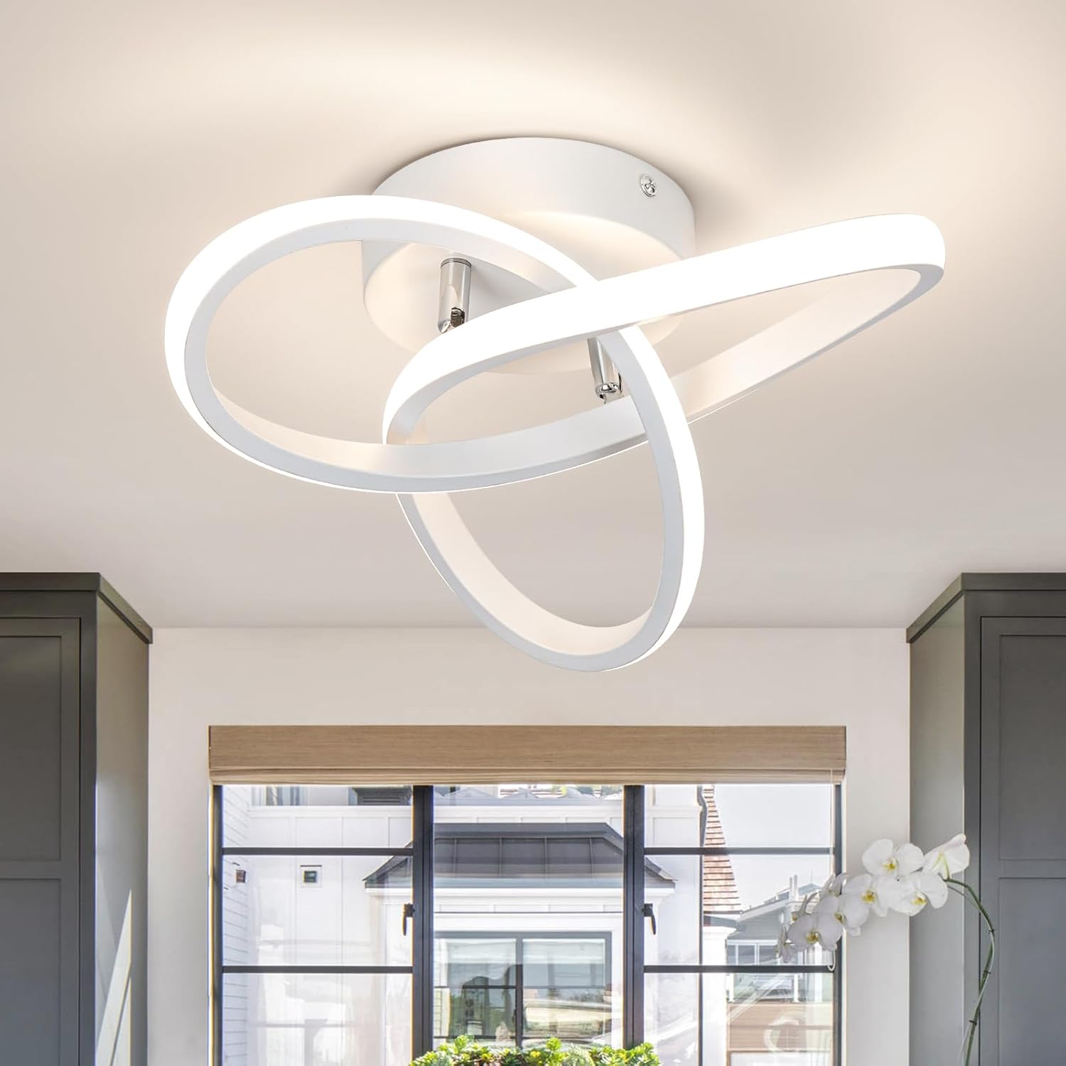 Curved Modern LED Ceiling Light